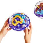 כדור פזל מבוך