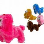 כלב סוללה פודל אור בעיניים