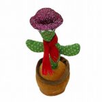 צבר רוקד מנגן שר ומקליט