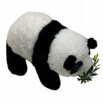 חיות דב פנדה קולות