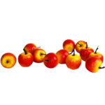 ⁦תפוחי קלקר קטנים לקישוט⁩ – תמונה ⁦2⁩